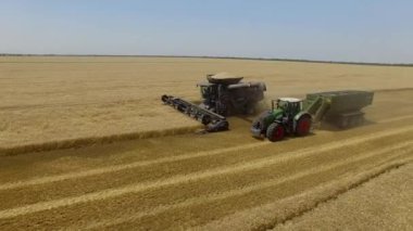 Fendt İdeal. Alan 4k video havadan görünümünde buğday hasat üzerinde Uçuş.