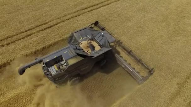 Fendt ideal. Vlucht over de oogst van tarwe op het veld 4k Video Aerial view. — Stockvideo
