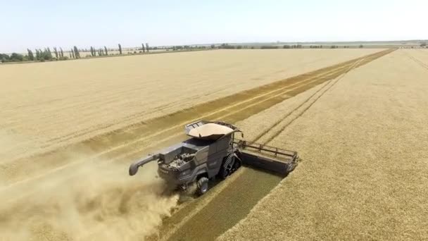 Fendt Ideal. Voo sobre a colheita de trigo no campo 4k vídeo vista aérea . — Vídeo de Stock