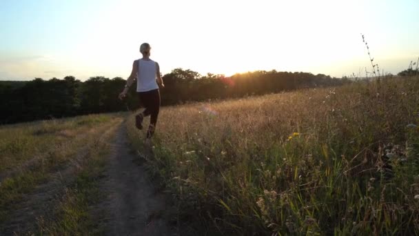 Mooie vrouwelijke jogger running in slow motion tarwe veld — Stockvideo