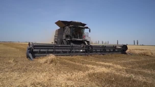 Colheitadeira Fendt colheitas ideais trigo . — Vídeo de Stock