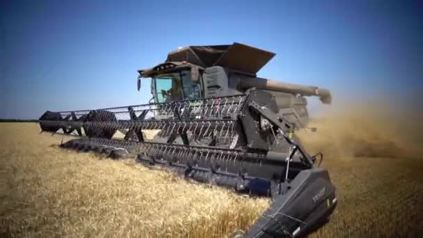 Harvester Fendt ideale oogsten tarwe. — Stockvideo