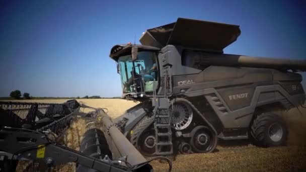 Cosechadora Fendt Cosechas ideales trigo . — Vídeos de Stock