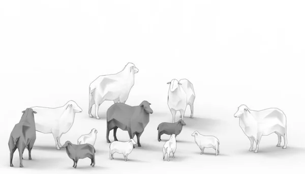 Black Sheep White Sheep Family Group Низкий Полюс Современное Искусство — стоковое фото
