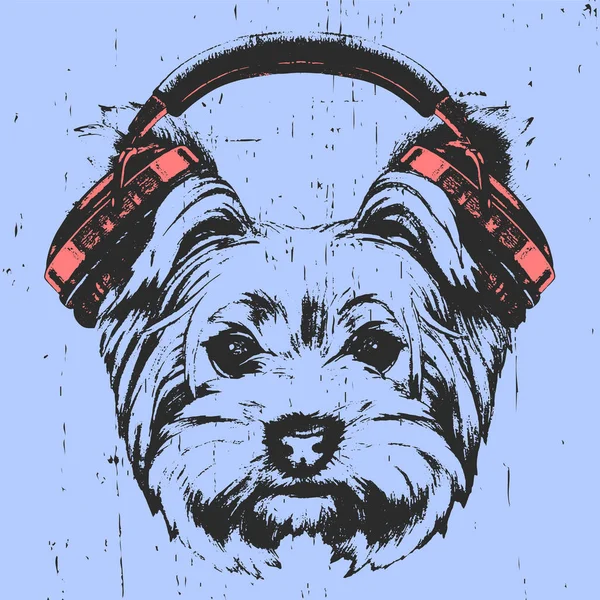 Chien Avec Casque Sur Fond Bleu — Image vectorielle