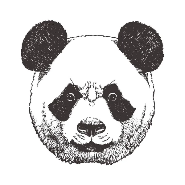Cabeça Panda Isolada Sobre Fundo Branco — Vetor de Stock