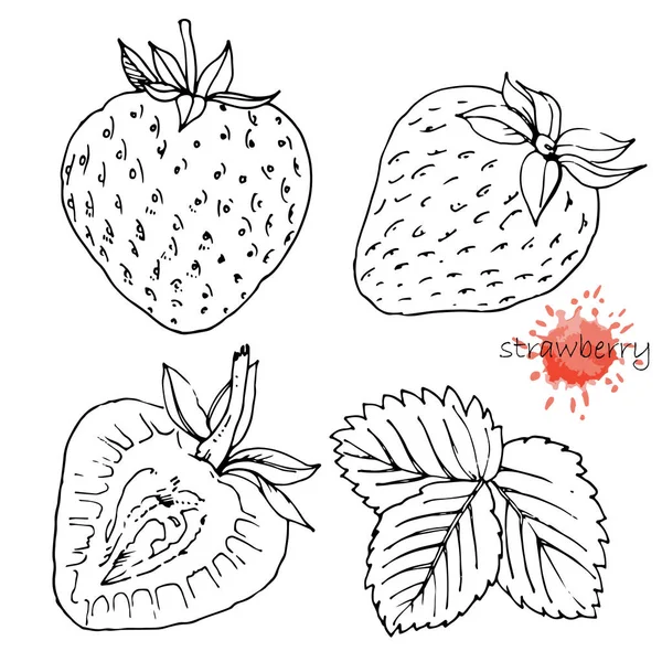 Φρέσκες Φράουλες Που Απομονώνονται Λευκό Φόντο Τροφίμων Αφίσα — Διανυσματικό Αρχείο