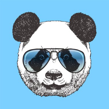 Güneş gözlüğü takıyor panda Başkanı. Hipster hayvan.