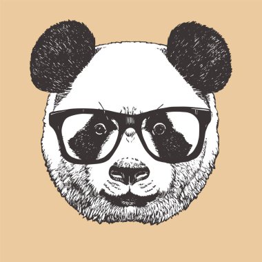 Güneş gözlüğü takıyor panda Başkanı. Hipster hayvan.