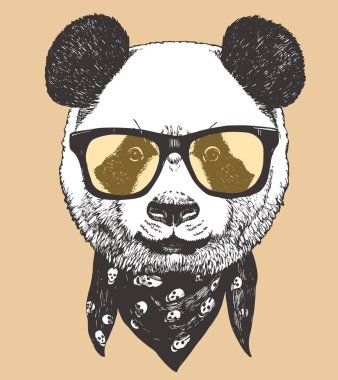 Güneş gözlüğü takıyor panda Başkanı. Hipster hayvan.