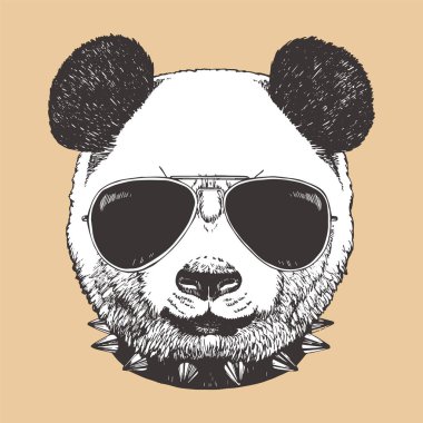 Güneş gözlüğü takıyor panda Başkanı. Hipster hayvan.