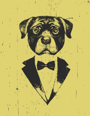 Smokin sarı arka plan üzerinde yay ile gözlük ile köpek