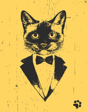 Smokin sarı arka plan üzerinde yay ile kedi