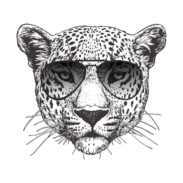 Głowy Sobie Okulary Leopard Hipster Zwierzęta — Wektor stockowy