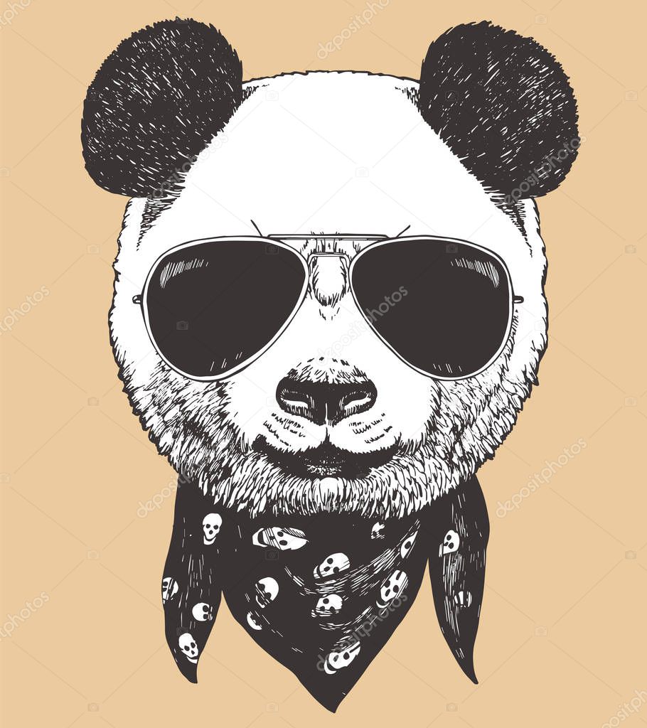 Head of panda wearing sunglasses. Hipster animal.