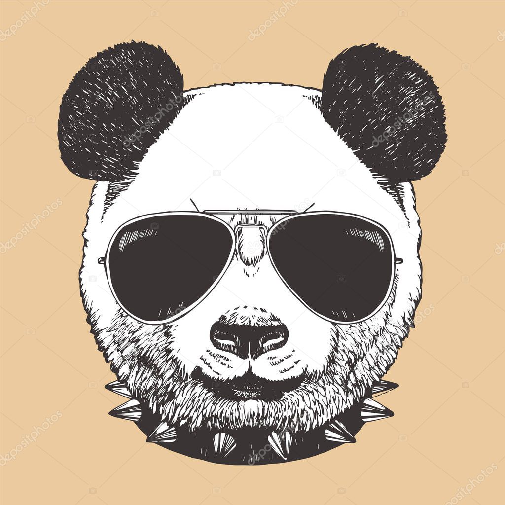 Head of panda wearing sunglasses. Hipster animal.