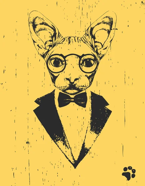 Retrato Gato Esfinge Traje Ilustración Dibujada Mano Vector — Vector de stock