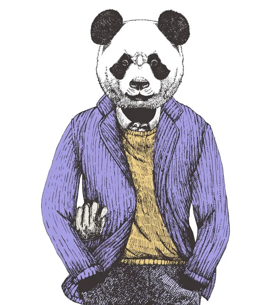 Panda Portréja Öltözött Fel Pulóver Kabát Kézzel Rajzolt Ábra Vektor — Stock Vector