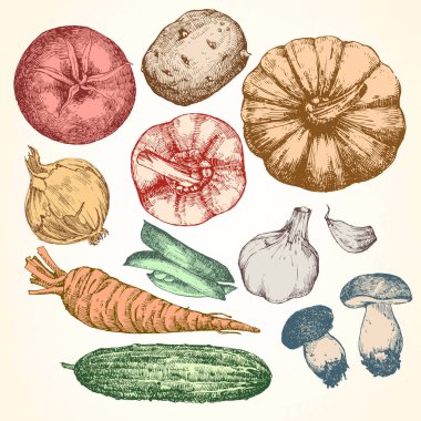 Resimde çizilmiş sebze, vektör