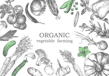 Sebzeli resimde çizilmiş. Vektör 