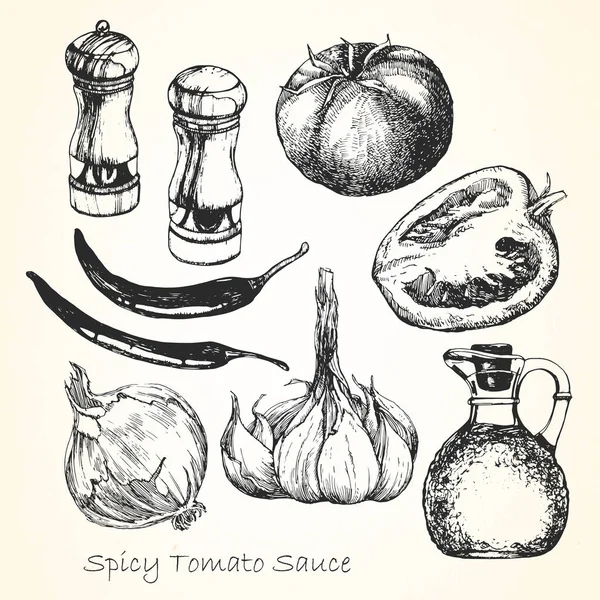 Ensemble Ingrédients Pour Une Sauce Tomate Épicée Illustration Dessinée Main — Image vectorielle