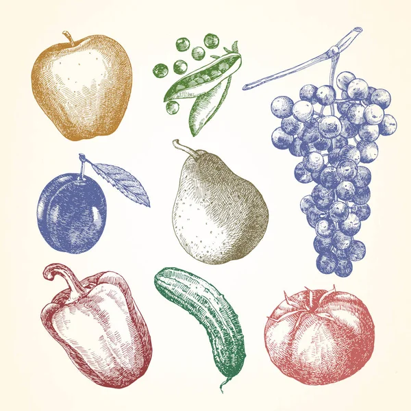 Illustration Dessinée Main Légumes Fruits Illustration Vectorielle — Image vectorielle