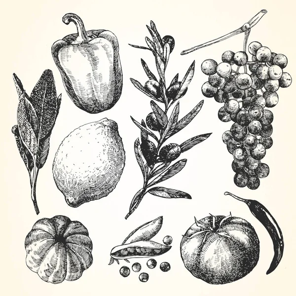 Handgetekende Illustratie Van Groenten Fruit Vector — Stockvector