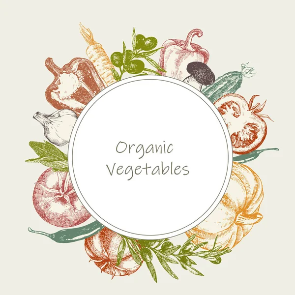 Ilustración Dibujada Mano Con Verduras Orgánicas Vector — Vector de stock