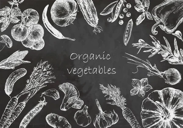 Ilustración Dibujada Mano Con Verduras Orgánicas Vector — Vector de stock