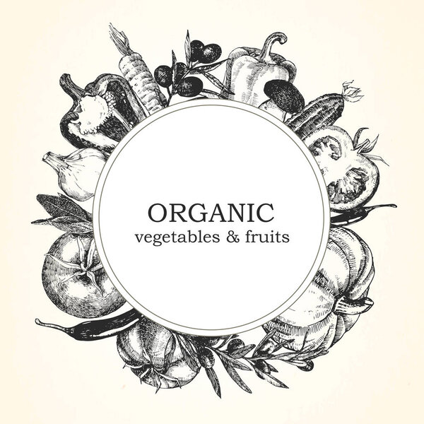 Hand-drawn illustration with organic vegetables. Vector 