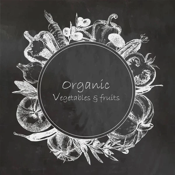 Ilustración Dibujada Mano Con Verduras Orgánicas Vector — Vector de stock