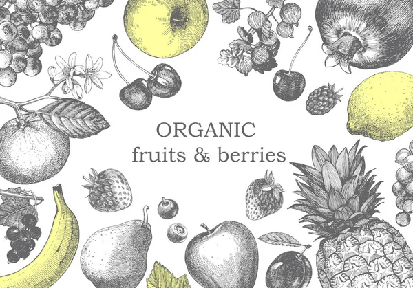 Illustration Dessinée Main Avec Baies Fruits Vecteur — Image vectorielle