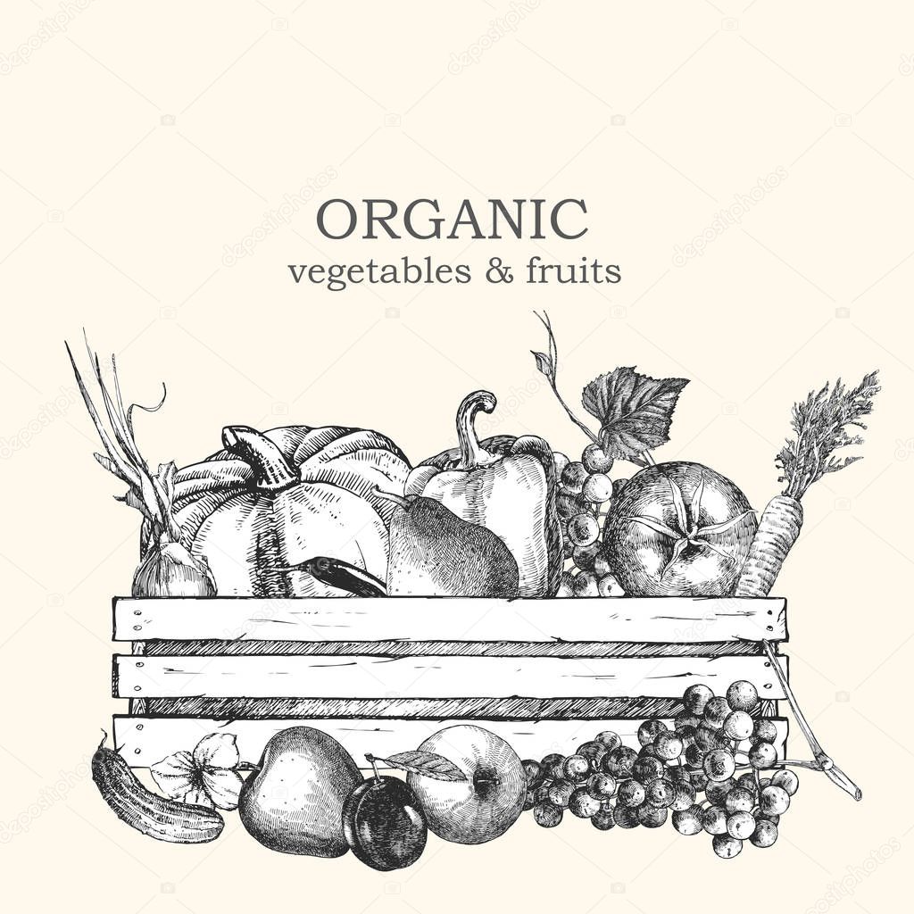 Hand-drawn illustration of vegetables and fruits in box. Vector