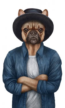 beyaz izole antropomorfik fransız bulldog el çizilmiş kalem illüstrasyon