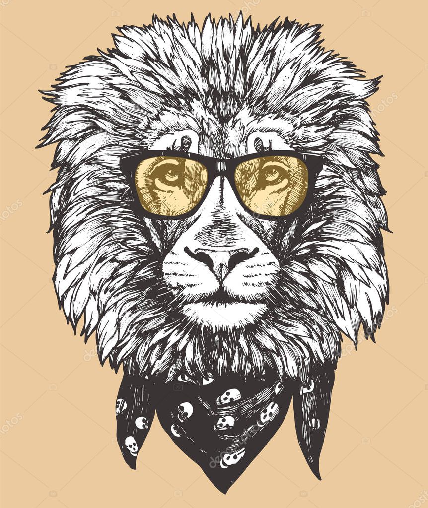 stylish drawing of lion face in eyeglasses, vector illustration