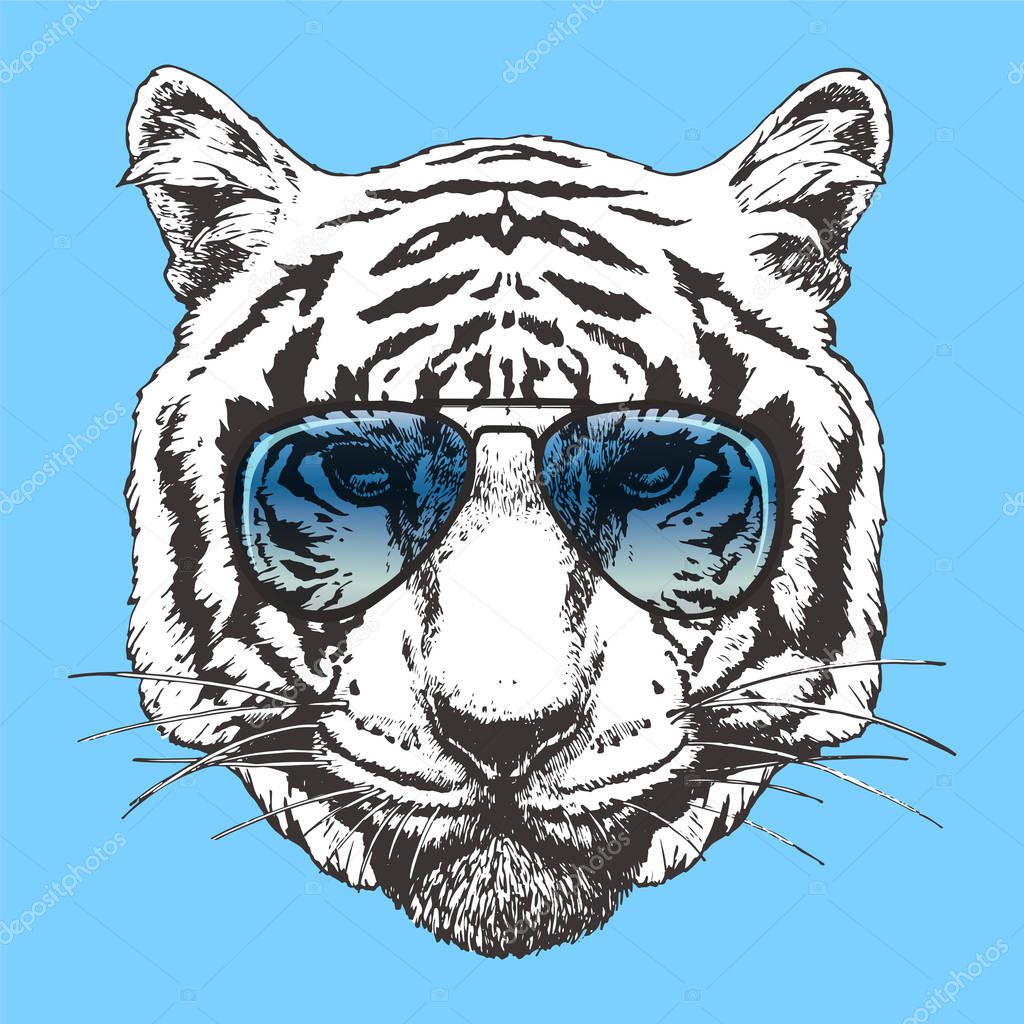 stylish drawing of tiger face in eyeglasses, vector illustration