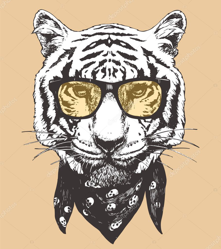 stylish drawing of tiger face in eyeglasses, vector illustration