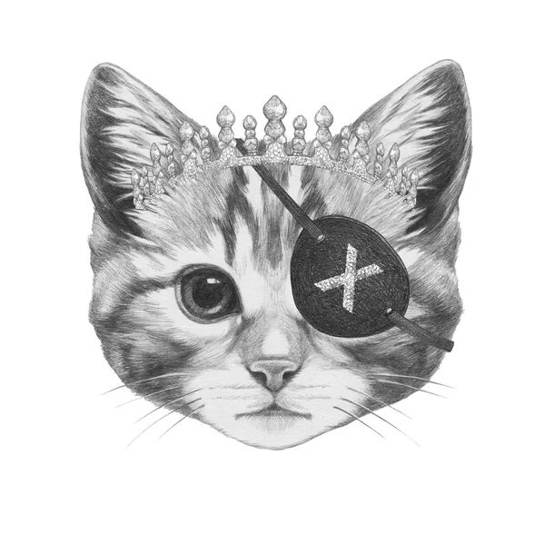 Hand Drawn Pencil Illustration Kitten Pirate Eyepatch Isolated White — Stock Photo, Image