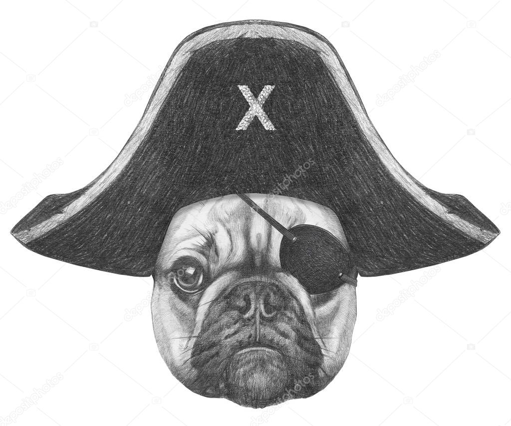 hand-drawn pencil illustration of french bulldog in pirate hat isolated on white