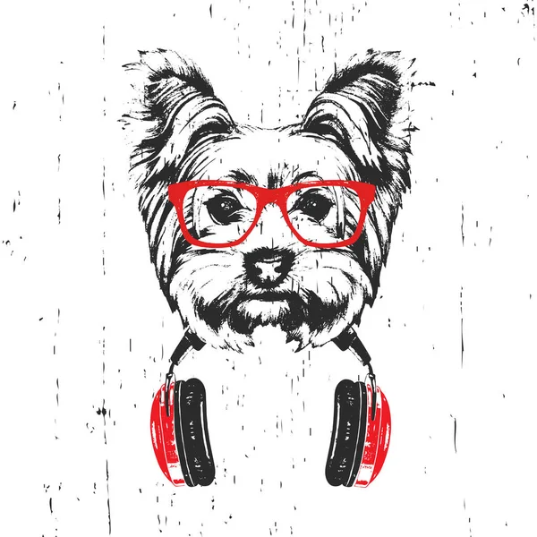 约克郡猎犬在红色眼镜与耳机隔离在白色背景的手绘插图 — 图库照片