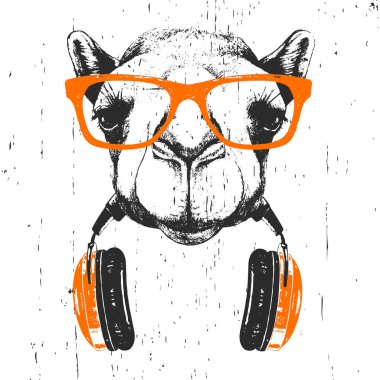 Beyaz arka planda izole kulaklık ile turuncu gözlükde deve elle çizilmiş illüstrasyon  