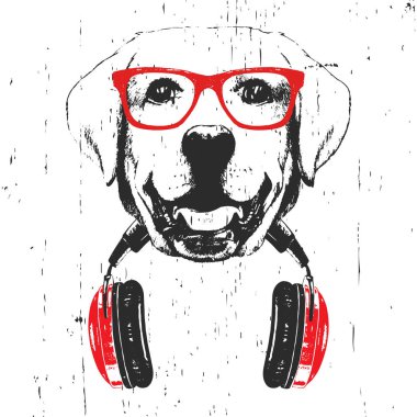 Beyaz arka plan üzerinde izole kulaklık ile kırmızı gözlükla Labrador'un elle çizilmiş illüstrasyonu  