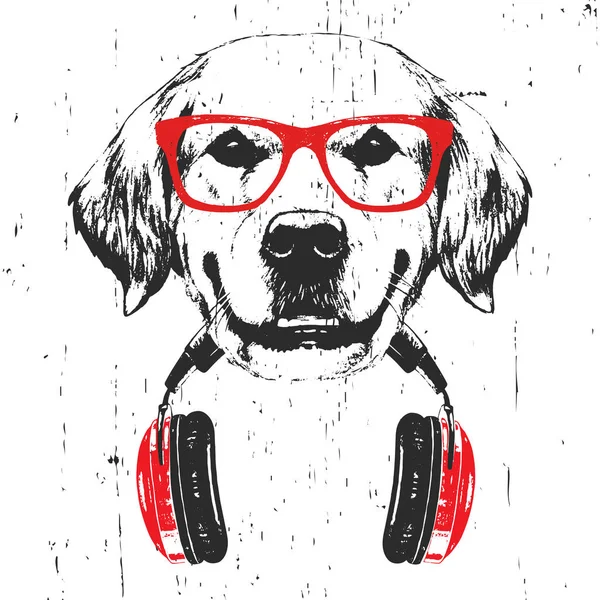 Hand drawn illustration of Golden Retriever in red glasses with headphone isolated on white background