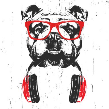 Beyaz arka plan üzerinde izole kulaklık ile kırmızı gözlük İngiliz Bulldog elle çizilmiş illüstrasyon  