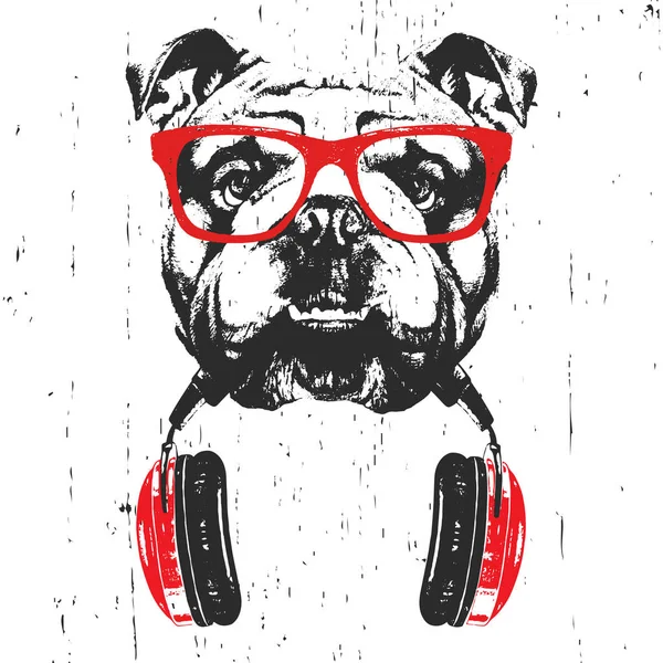 Hand drawn illustration of English Bulldog in red glasses with headphone isolated on white background