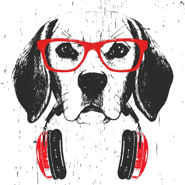 Beyaz arka plan üzerinde izole kulaklık ile kırmızı gözlükbeagle köpek elle çizilmiş illüstrasyon  