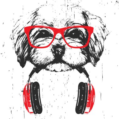 Beyaz arka planda izole kulaklık ile kırmızı gözlük havanese köpek elle çizilmiş illüstrasyon  
