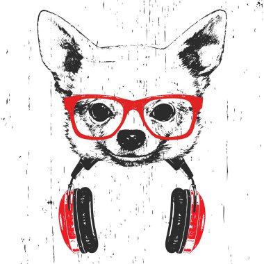 Beyaz arka plan üzerinde izole kulaklık ile kırmızı gözlük chihuahua köpek Elle çizilmiş illüstrasyon  
