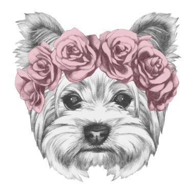 Pembe arka planda gül çelenginde güzel bir köpek portresi.