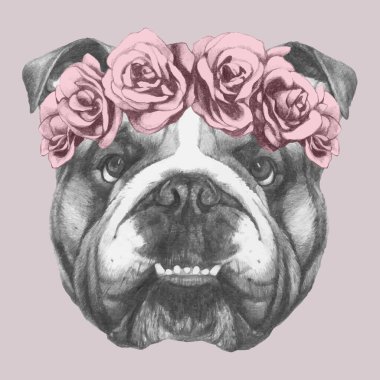 Pembe arka planda gül çelenginde güzel bir köpek portresi.